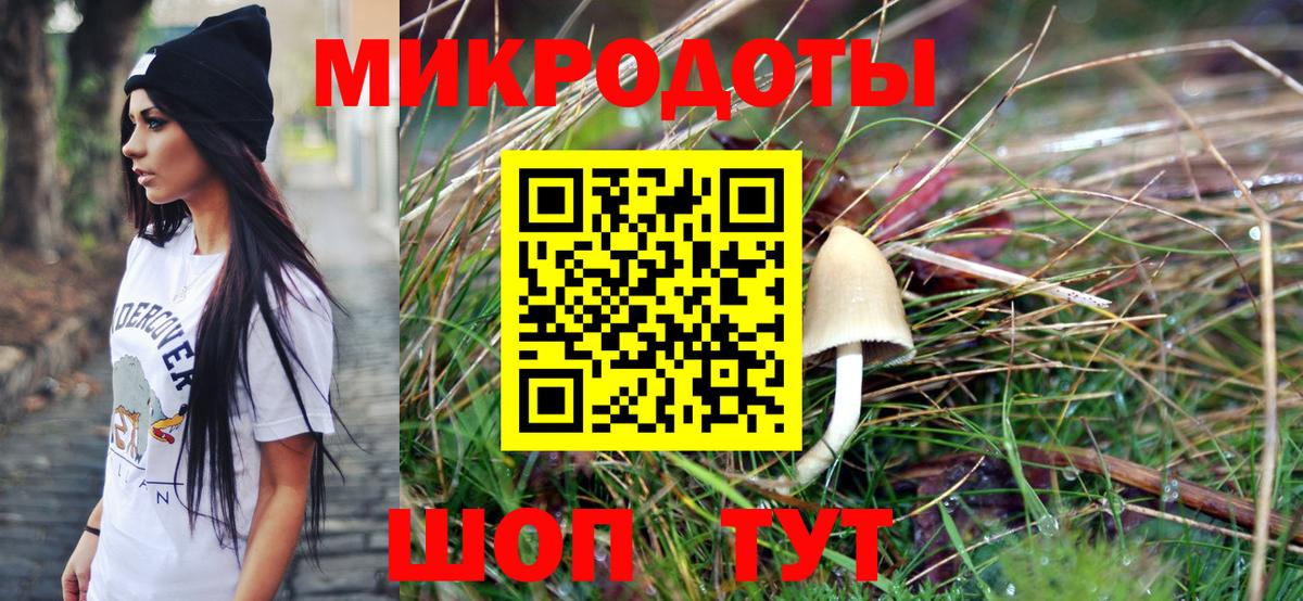 Дзержинский  Псилоцибиновые грибы Psilocybine cubensis  Вход с VPN 